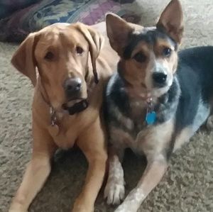 Meet your Posher, Brianna